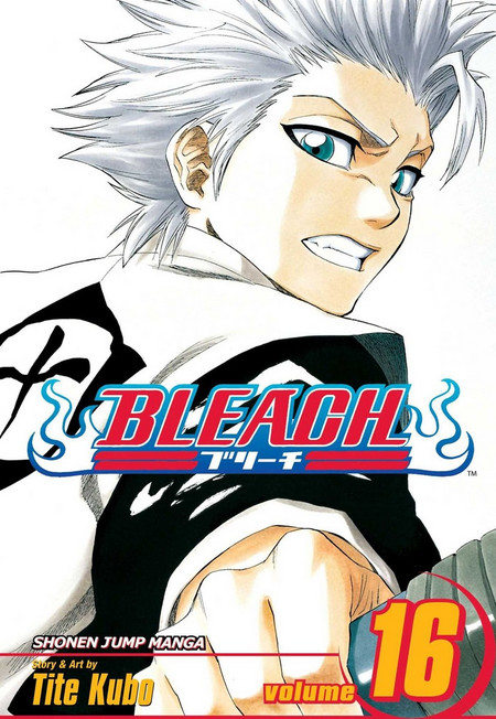 Bleach, Vol. 16