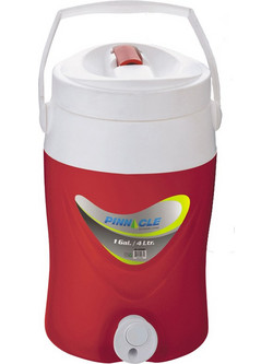 ΘΕΡΜΟΣ PLATINO 1 GAL/4LTR ΠΟΡΤΟΚΑΛΙ