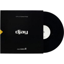 Stokyo djay PRO AI 12" Control Vinyl
