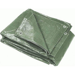 Bormann BTR2030 4m x 5m 60gr/m