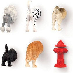 Kikkerland - Dog Butt Magnets 6 Per Set