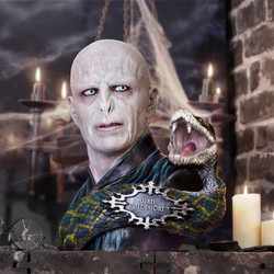 Nemesis Now Harry Potter Lord Voldemort 31 cm