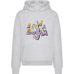 Space Jam Group Hoody heather grey
