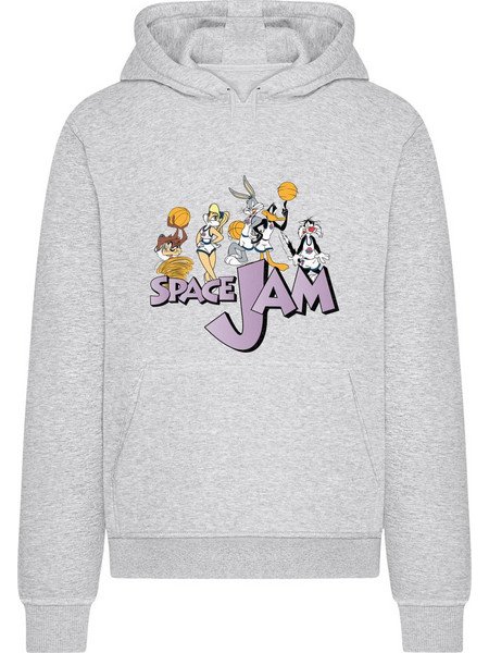 Space Jam Group Hoody heather grey