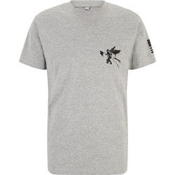 Linkin Park Flag Tee heather grey