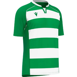 ALABASTER Green/White