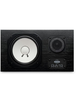 Avantone Pro CLA-10 Black (Ζεύγος)