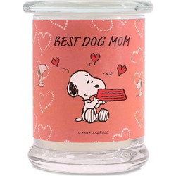 Peanuts Snoopy and Woodstock Αρωματικό Κερί Best Dog Mom σε Βάζο 250gr A2105
