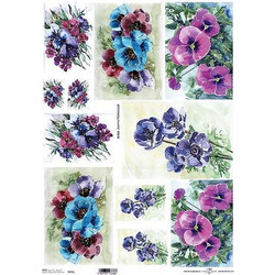 Ριζόχαρτο anemones 42x29.7εκ. (ITD-R092L)