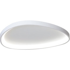 Inlight Πλαφονιέρα οροφής LED 25W 3CCT από λευκό μέταλλο και ακρυλικό D:61,5x5cm (42043-White)