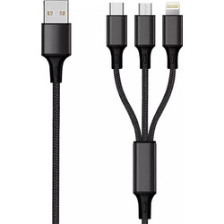 2GO Regular USB to Lightning / Type-C / micro USB Cable Μαύρο 3m (797154)