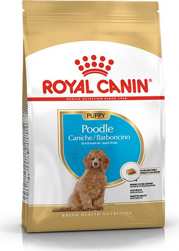 poodle royal canin puppy