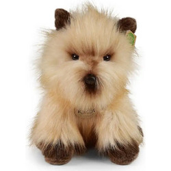 Rappa Σκύλος Cairn Terrier 30cm