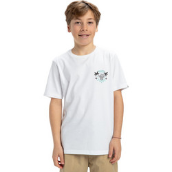 Quiksilver Παιδικό T-Shirt Κοντομάνικο Λευκό EQBZT04854-WBB0