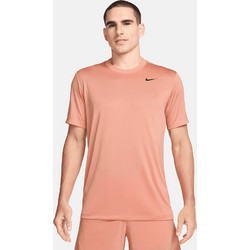 Nike Dri-FIT Legend Ανδρικό Αθλητικό T-Shirt Σομόν DX0989-844