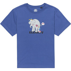 Element Παιδικό T-Shirt Κοντομάνικο Royal Blue ELBZT00236-BQP0