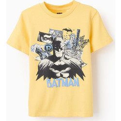 Zippy Batman Παιδικό T-Shirt Κοντομάνικο Κίτρινο 31070469042