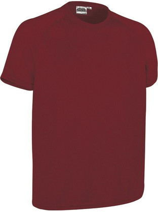 Valento Revolution Ανδρικό Αθλητικό T-Shirt Μπορντό 60341327
