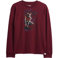 Gap Marvel Παιδικό T-Shirt Μακρυμάνικο Μπορντό 826474003