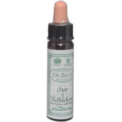 Ainsworths Dr.Bach Star of Bethlehem Ανθοΐαμα σε Σταγόνες για Σοκ & Πένθος 10ml