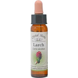 Crystal Herbs Larch Ανθοΐαμα σε Σταγόνες για Αυτοπεποίθηση 10ml