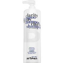 Artego Easy Care T Clarity Σαμπουάν για Επανόρθωση κατά της Πιτυρίδας 1lt