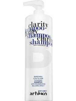 Artego Easy Care T Clarity Σαμπουάν για Επανόρθωση κατά της Πιτυρίδας 1lt