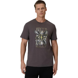 4F Ανδρικό Αθλητικό T-Shirt Ανθρακί 4FWSS26TTSHM2664-24S