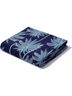 Borea Phoenix Πετσέτα Θαλάσσης Microfiber Μπλε 90x180cm 041508097261