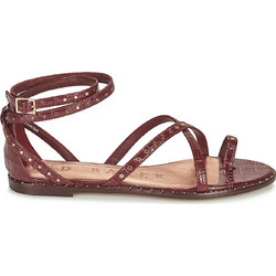 Ted Baker Γυναικεία Σανδάλια Λουστρίνι Καφέ 251052