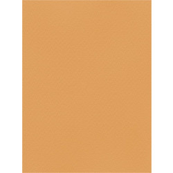 Favini Χαρτόνι Κανσόν Ταμπά 50x70cm 831.5070.12T