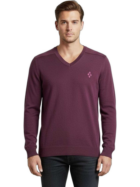Burlington Ανδρικό Πουλόβερ με V Λαιμόκοψη Μωβ 61201-6955