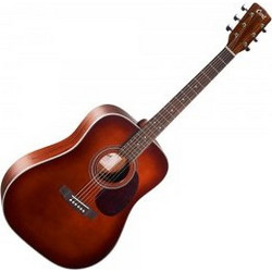 Cort Earth 70 Brown