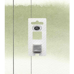 Roman Szmal Aquarius 105 Green Earth Νερομπογιά 11-590-105