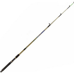 Black Diamond Big Master Evo Καλάμι Ψαρέματος για Casting Τηλεσκοπικό 3m 20-50gr