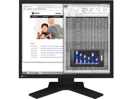 Eizo S1934H-BK IPS Monitor 19" 1280x1024 60Hz 14ms