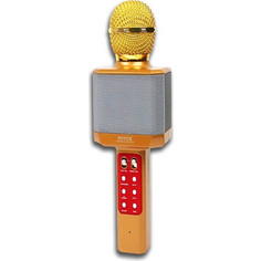 Wster WS-1828 Ασύρματο Μικρόφωνο Καραόκε Χρυσό