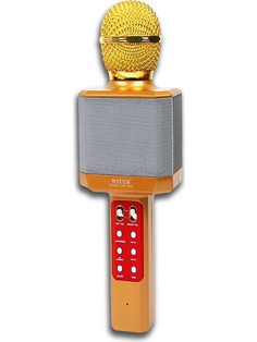 Wster WS-1828 Ασύρματο Μικρόφωνο Καραόκε Χρυσό