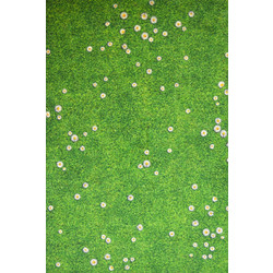 Sprintzio Heaven Χαλί Ορθογώνιο Καλοκαιρινό 160x230cm 5409 Green