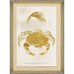 Κάδρο Caribbean Sea Life - Arthropoda Crustacea FA13178 50X70 MindTheGap Κάθετοι Ξύλο