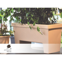 Ζαρντινιέρα αυτοποτιζόμενη Lotus no 731-25 59x34,5x40,5cm μολύβι