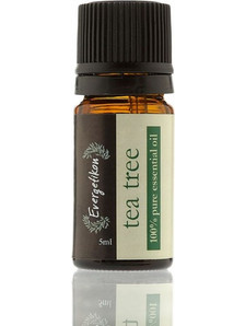 Evergetikon Βιολογικό Αιθέριο Έλαιο Τεϊόδεντρο 5ml