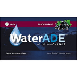 WaterADE Blackcurrant Βιταμινούχο Στιγμιαίο Ρόφημα σε Σκόνη, 10gr