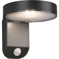 Trio Lighting Posadas R22251142