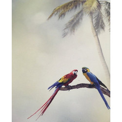 Ρόλερ Μονόχρωμο Ψηφιακής Εκτύπωσης E409 Parrots Anartisi