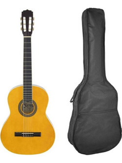 Aria FST-200 4/4 Natural With Bag