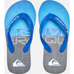Quiksilver Molokai Panel Παιδικές Σαγιονάρες για Αγόρι Γαλάζιες AQBL100577-XKBS