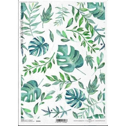 Ριζόχαρτο Green-blue leaves 21x29εκ. (ITD-R1416)