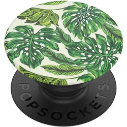 Monstera Deliciosa