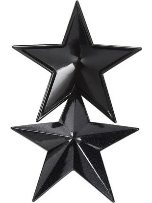 Naughty Toys Metal Star Nipple Covers